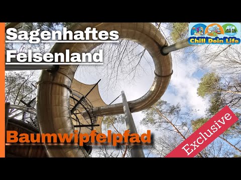 Video: Kannst du im Baumwipfelpark fischen?