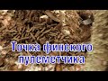 Раскопки по Зимней войне. Засидка финского пулеметчика Winter war excavations. MG nest ENG SUBs