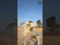 Fresh Pineapple Juice: Made by JHP #Ballistics #Satisfying #Destruction