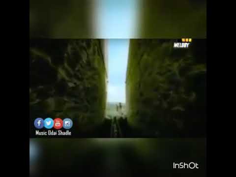 جورج وسوف حلوة الدنيا حلوة سوا