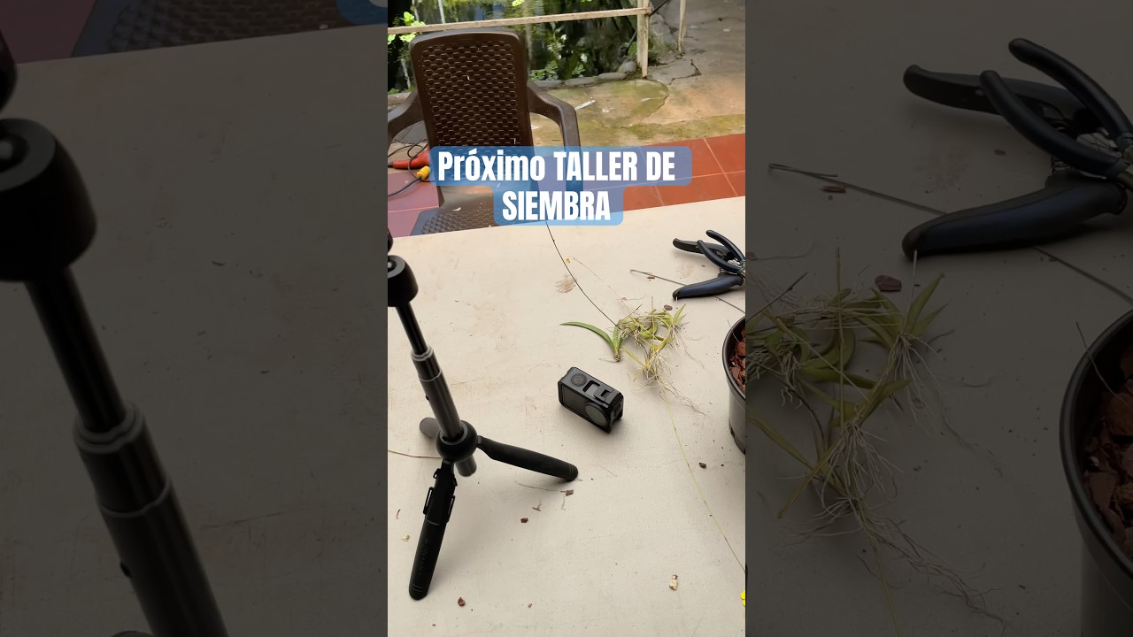 Próximo taller de siembra de orquídeas 