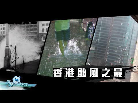 史上最强台风葵花袭击上海 the strongest tyhoon hits Shanghai：十级风圈靠近