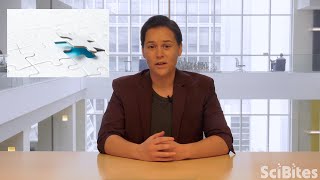 Nih Scibites Piecing Together A Chemical Puzzle