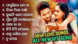 Best Odia Love Songs 2024 | All Best Love Song | Kulfi Rani Chocobar, Papulire Na Tora, Maja Alaga