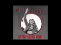 20 see you again live from gypsy heart tour