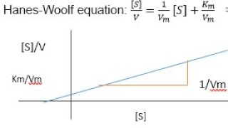 Enzyme Kinetics: Km, Vmax and [S]. Hanes-Woolf Equation