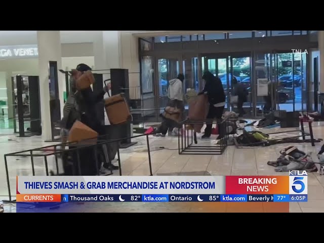 Canoga Park Nordstrom raided by 'flash mob' of 30-plus people By