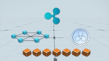 How the Ripple platform works