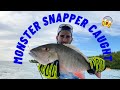 MONSTER SNAPPER CAUGHT | fishing trip