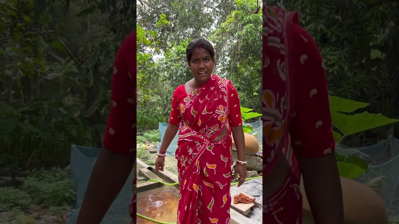 সতীনের সঙ্গে কোনদিনও একসাথে সংসার করা যায় না