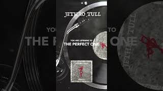 Jethro Tull – The Perfect One #shorts #rokflote #jethrotull