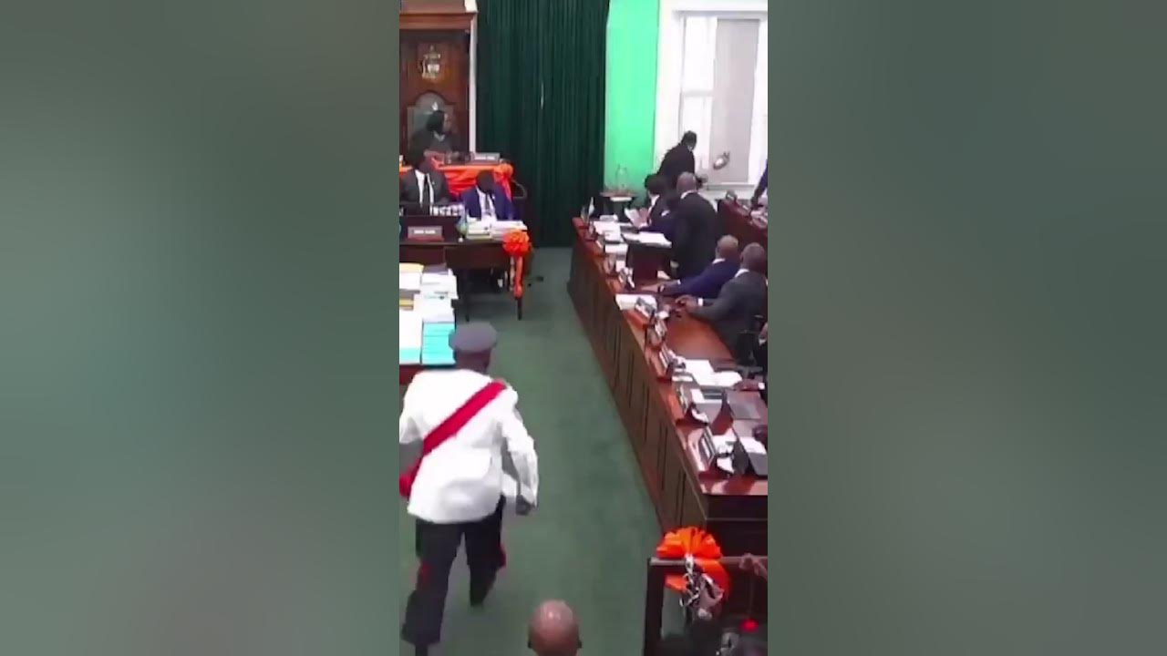 CHAOS erupts as lawmaker THROWS mace out window
