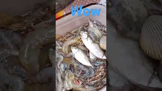 simpling hanapbuhay #subscriber #yearofyou #everyone #viral $#carpenterochannel #fresh #shell