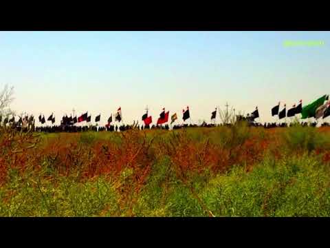 تسوى التعب محمد باقر