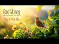 THE BEST MORNING MUSIC - Wake Up Positive & Happy - Meditation Morning Music For Relax Mind Body