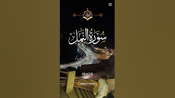 Surah An-Naml (سورة النمل) Ayah 19 | Urdu Translation of Quran | Dua of Prophet Sulaiman (AS)