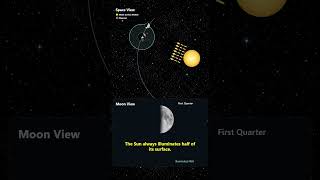 Why Does the Moon Change Shape 🌙 #shorts