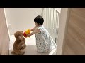 犬と子供を一緒に育てると良い影響がある？