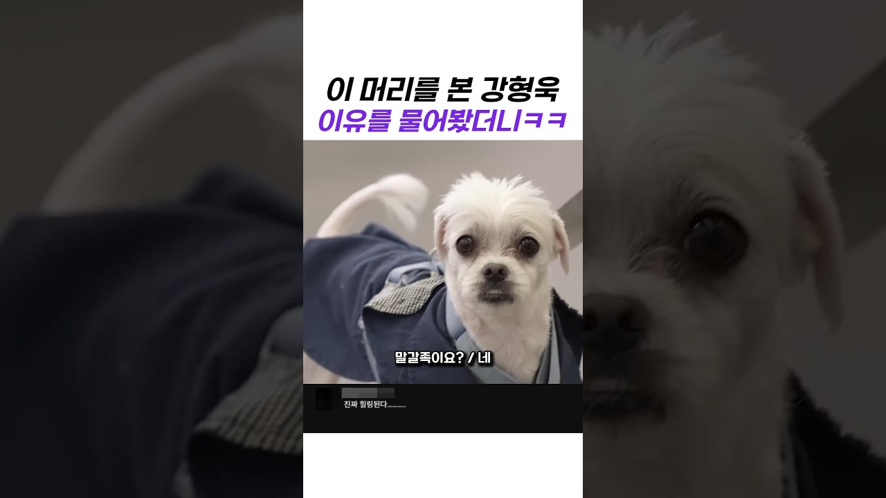 이 머리를 본 강형욱 이유를 물어봤더니ㅋㅋ