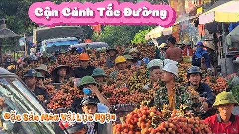 VẢI U HỒNG BÀ CON BÁN TẮC ĐƯỜNG TẠI NGÃ BA CẦU CHÉT I NÚI ĐỒI LỤC NGẠN