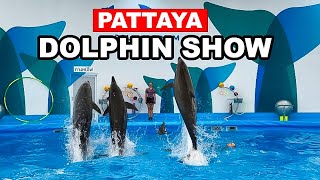 Dolphin Shows And Swimming With Dolphins In Pattaya Thailand | Dolphinarium Pattaya 🇳🇱🐬