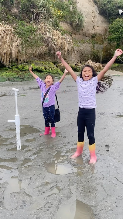 Dassidia & Asisia harvesting cockle clams for dinner. Yummy! Sea Life🌊!