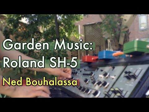 Garden Music 1 - Roland SH-5
