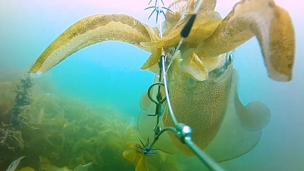 挟み式ヤエンの動作検証　正直色物ヤエンと舐めてたけど、これは使えるかも