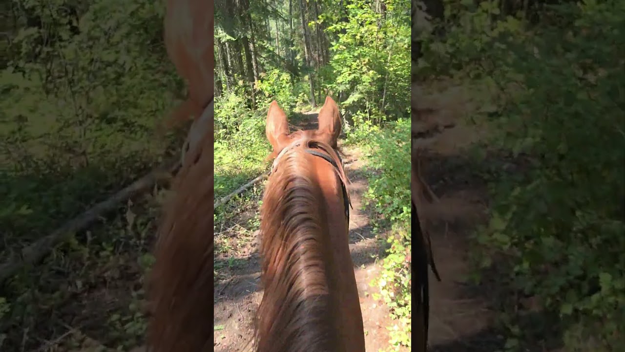 favorite part of my day #freedom ❤️