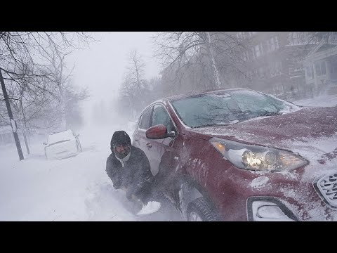 Видео: Майки и деца: примери за невероятни прилики с животни