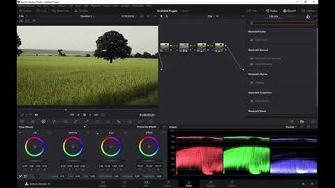 Export LUT from Davinci Resolve 16 | Use in Premiere Pro | Ultra VFX