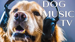Deep Relaxation Music for Dogs! TV for Dogs & Music to Relax Your Dog Completely and Help with Sleep