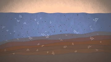 Mars in a Minute: Why is Curiosity Looking for Organics?