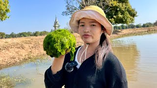 ของแช่บบ้านเฮาลาบเทาใส่หัวหอย ຂອງແຊ່ບບ້ານເຮົາລາບເທົາໃສຫອຍຈູບ