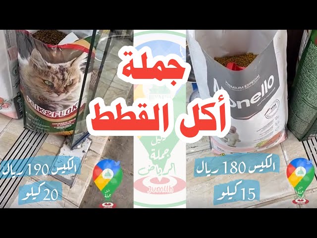 الجزء 1 من تغطيات سوق الحمام بحي العزيزية / غطينا قسم أكل القطط و مستلزمات  و اكسسوارات جملة و مفرق - YouTube