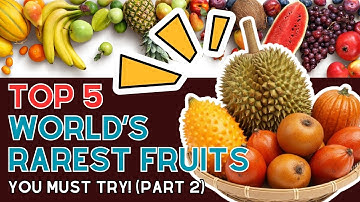 The World’s 5 Rarest Fruits You Never Knew Existed (Part 2)