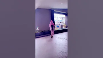 قطر بثوث اليمن السعيد 