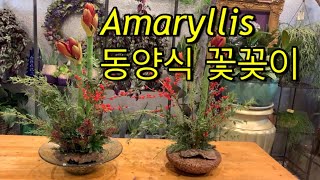 Amaryllis    동양식 꽃꽂이