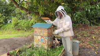 Details Spring Beekeeping Tips � Guide