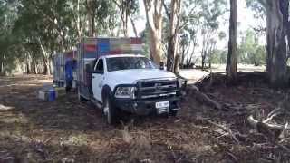 RAM 3500 Bee Truck Trailer and Ezyloader