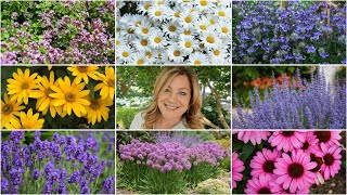 10 Perennials That Look GREAT in the HEAT! 🌸🌼🌿 \/\/ Garden Answer