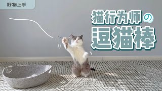 猫行为师的逗猫棒，专治各种“不爱玩”的猫 by 萌控生活 cute-live 118 views 1 year ago 2 minutes, 49 seconds