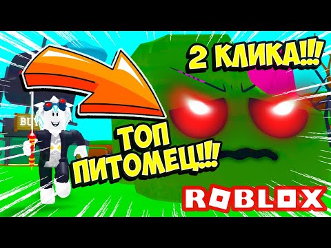2 КЛИКА + САМЫЙ РЕДКИЙ ПИТОМЕЦ В СИМУЛЯТОРЕ ЧЕМПИОН ПИРАТОВ! ROBLOX Pirate Champions