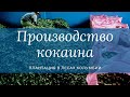 Как делают кокаин? Кокаиновая лаборатория. Пабло Эскобар начинает бизнес