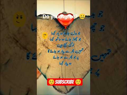 Can You Relate No Love Again Status اقوال اردو اقوال اقوال زریں Urdu Quotes