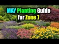 May Planting Guide for Zone 7 | What to Plant This Month!