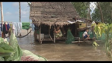 Bán dạo mùa nước nổi