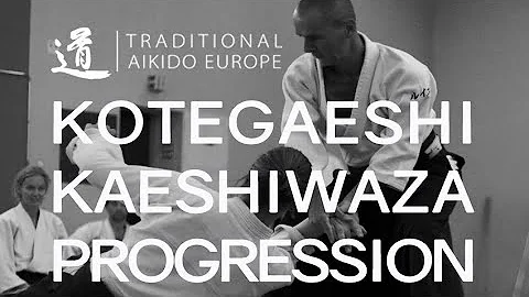 TRADITIONAL AIKIDO EUROPE - Kotegaeshi Kaeshiwaza ...