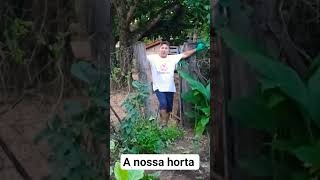 #boanoite #horta #familia #reforma na horta, vai ficar top, Pedro está reformando nossa #horta