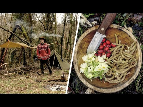 Vidéo: Comment Naviguer Seul Dans La Forêt